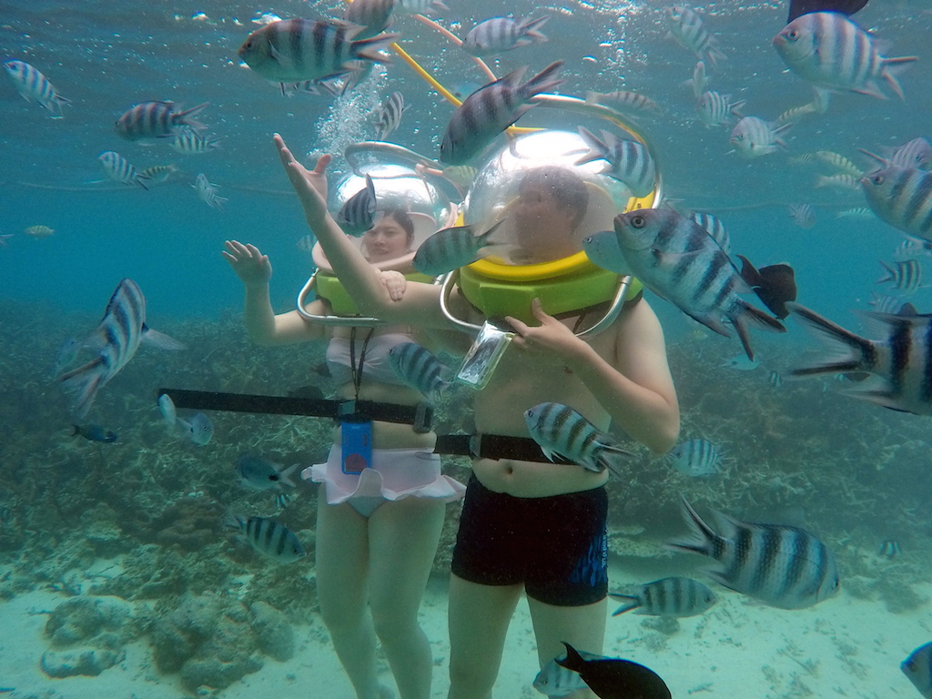 Private and fascinating underwater walk