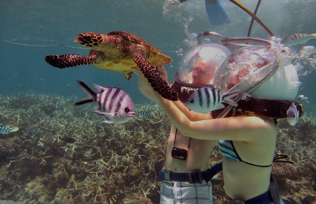 Private and fascinating underwater walk